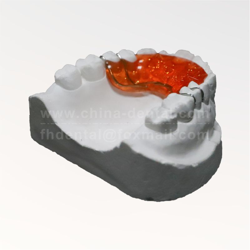 Maxillary Plane Plate(Band-anchored)